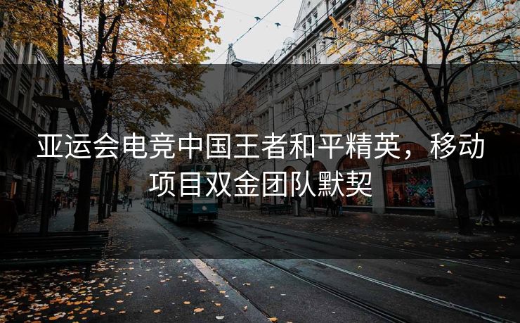 亚运会电竞中国王者和平精英，移动项目双金团队默契
