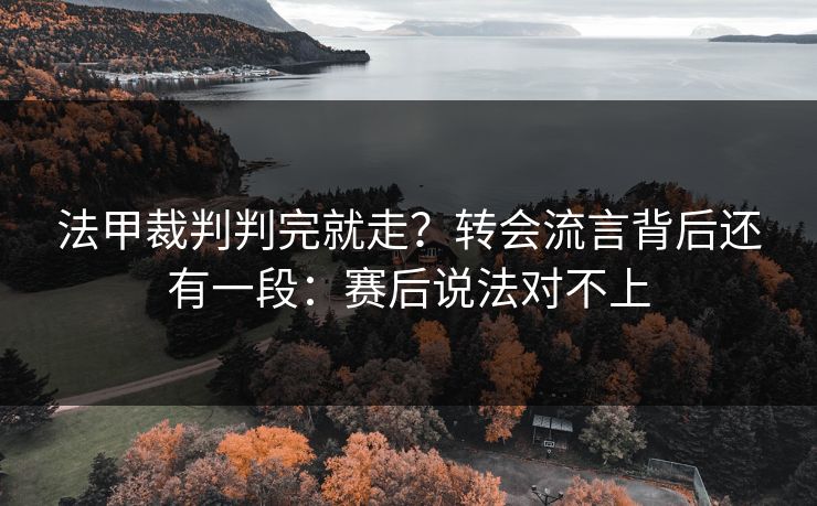 法甲裁判判完就走？转会流言背后还有一段：赛后说法对不上